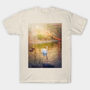 swan in golden light T-Shirt